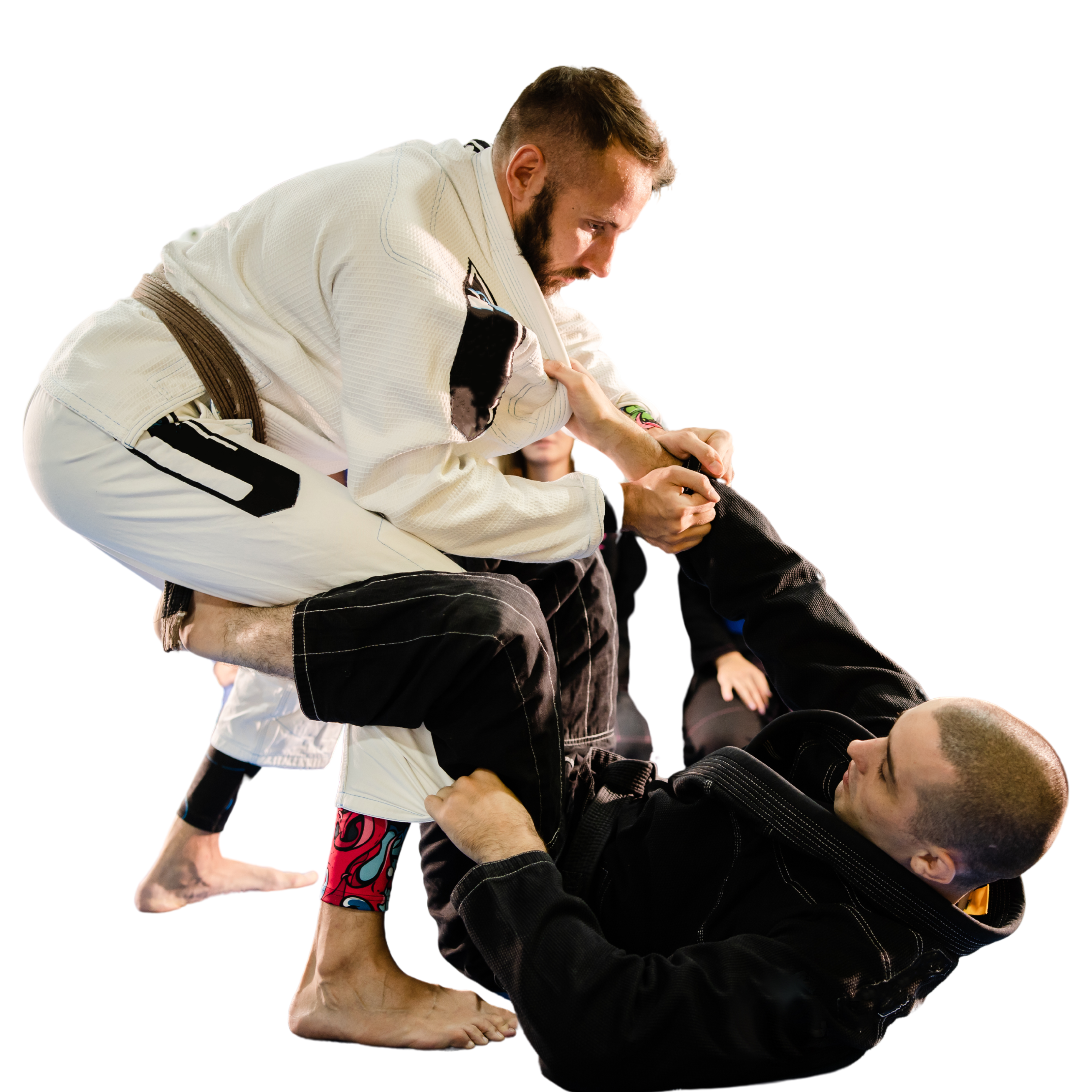 Pós em JIU-JITSU Pedagogia Aplicada e Rendimento e Neuropsicopedagogia