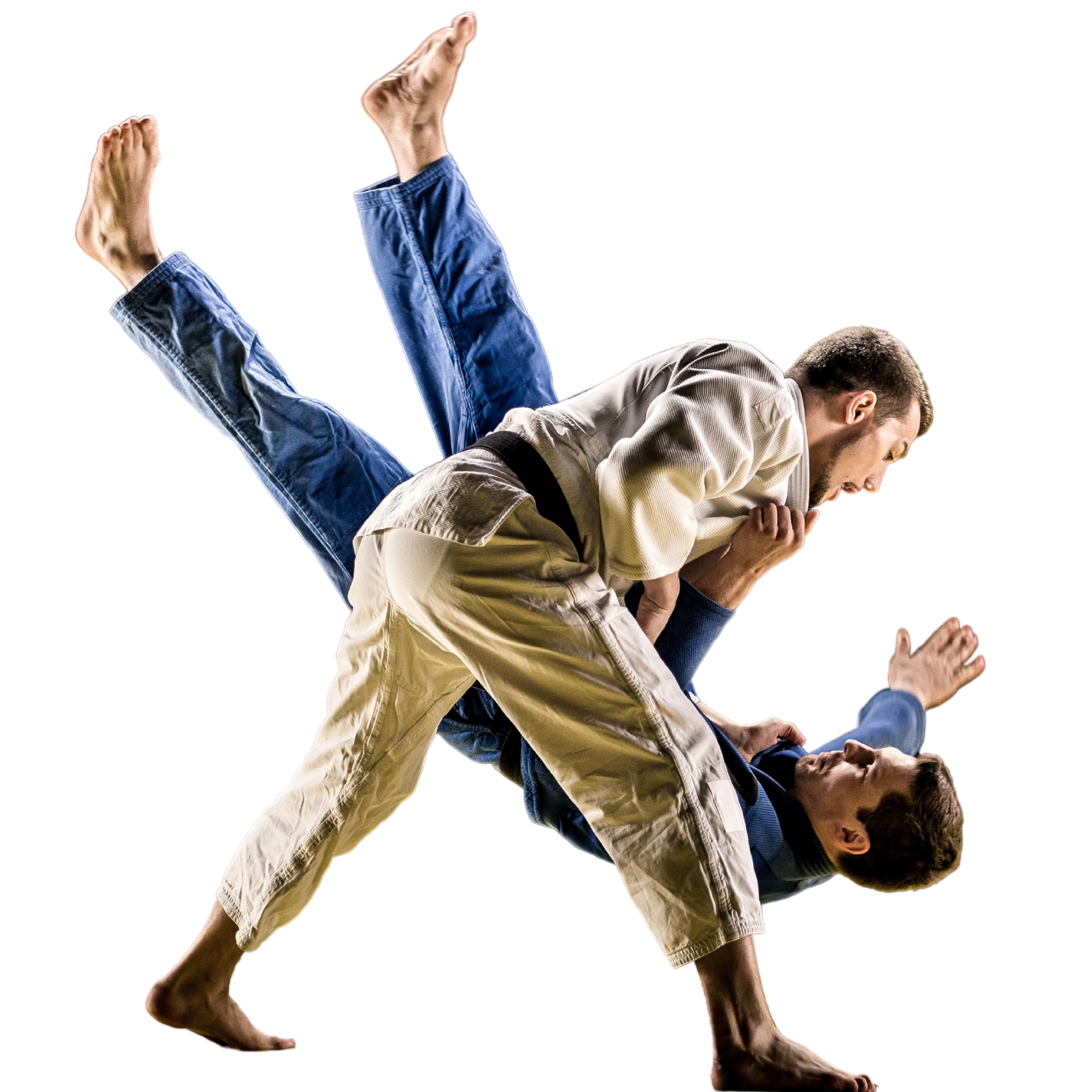 Pós em JUDÔ Aspectos Metodológicos, Teoria e Prática