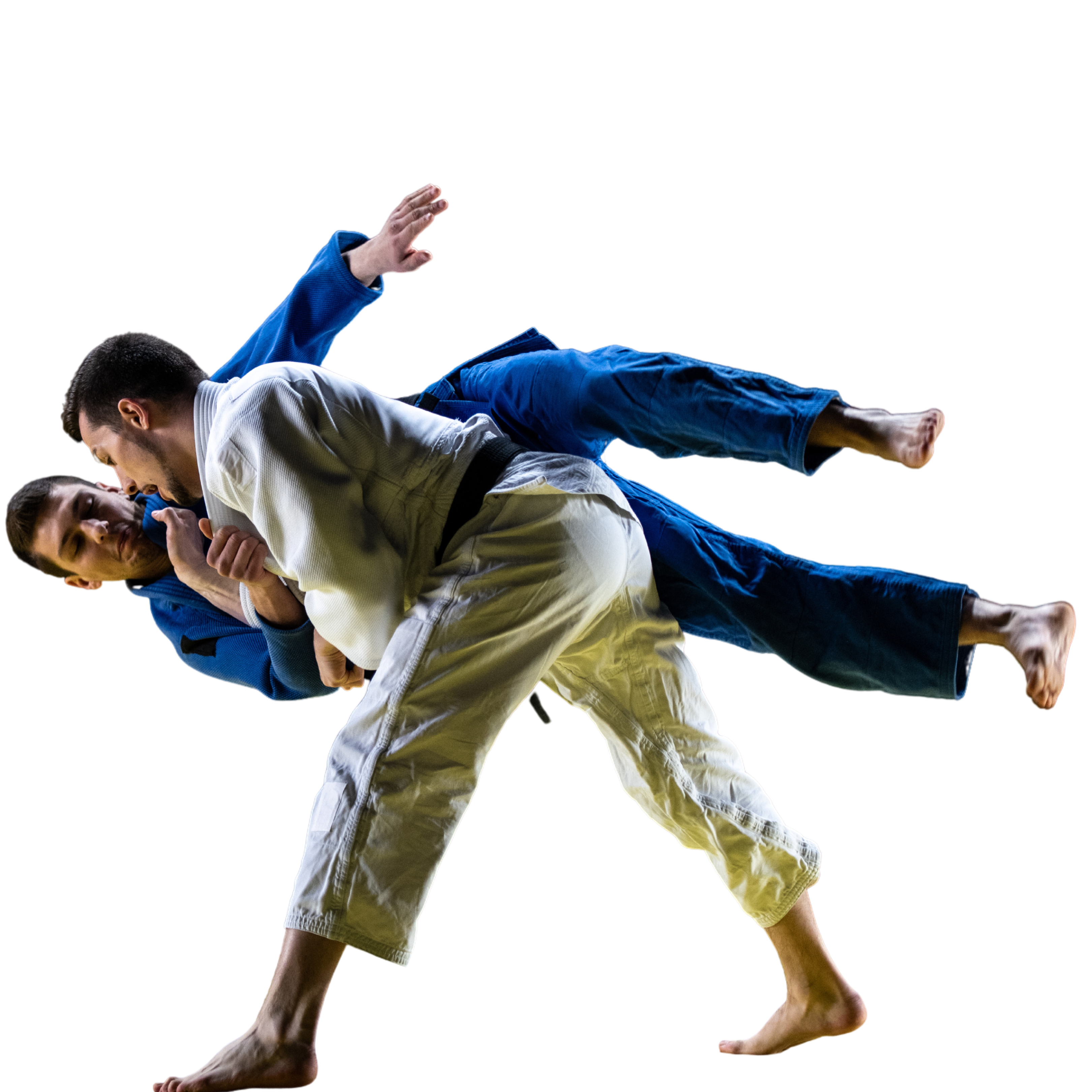 Pós em JUDÔ Pedagogia Aplicada, Rendimento e Educação Física Escolar