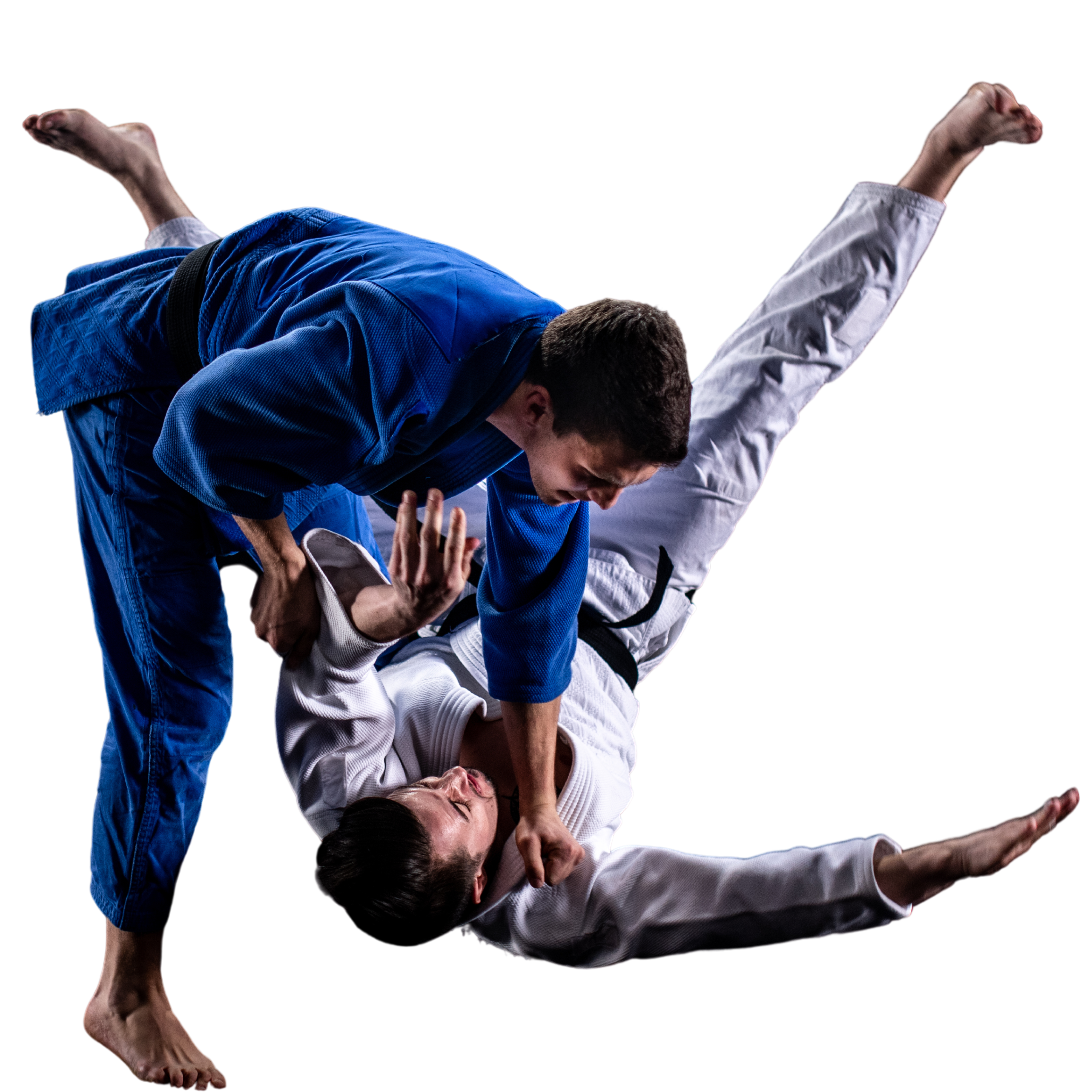 Pós em JUDÔ Treinamento da Base ao Alto Rendimento