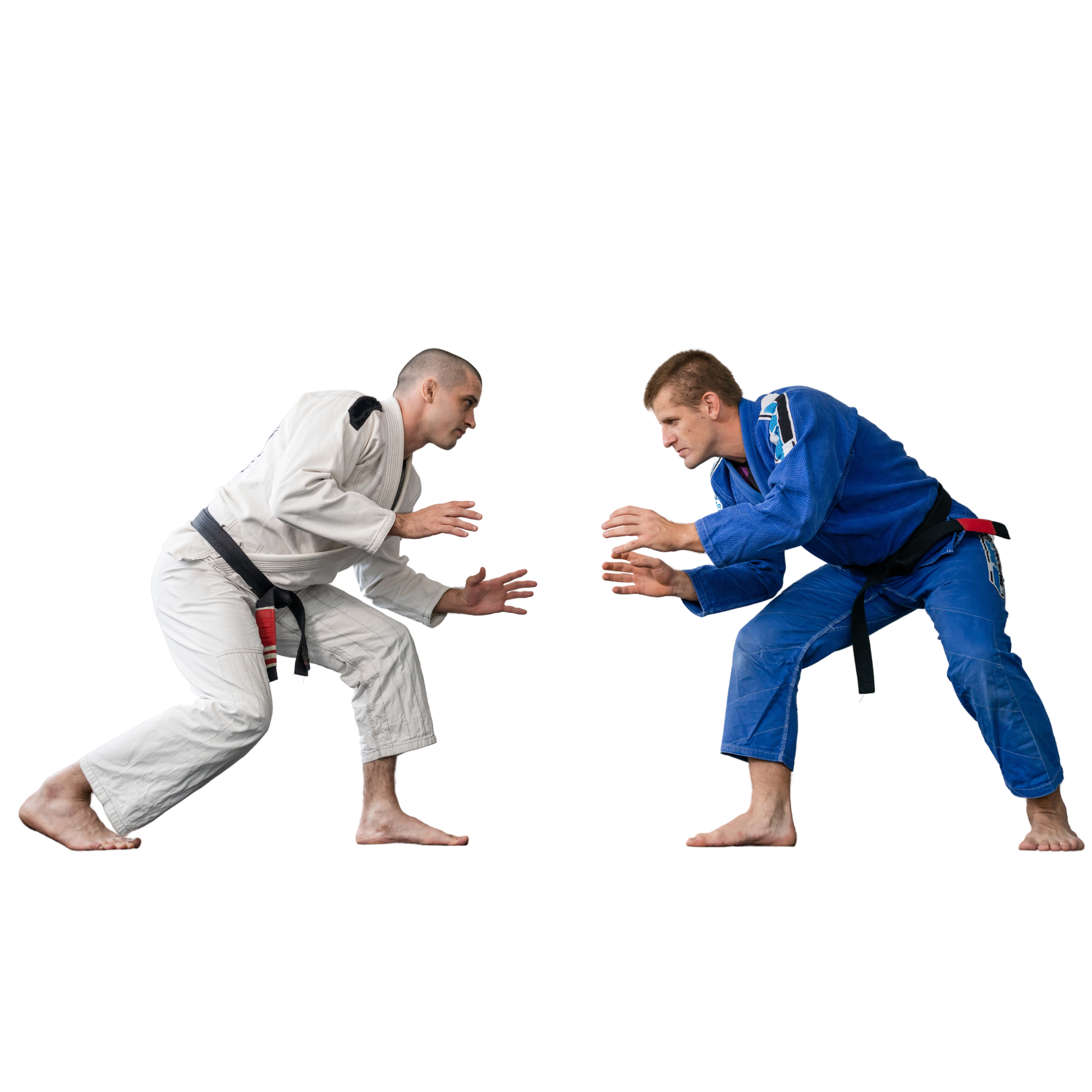 Pós em JIU-JITSU Pedagogia Aplicada e Rendimento e Educação Especial e Inclusiva