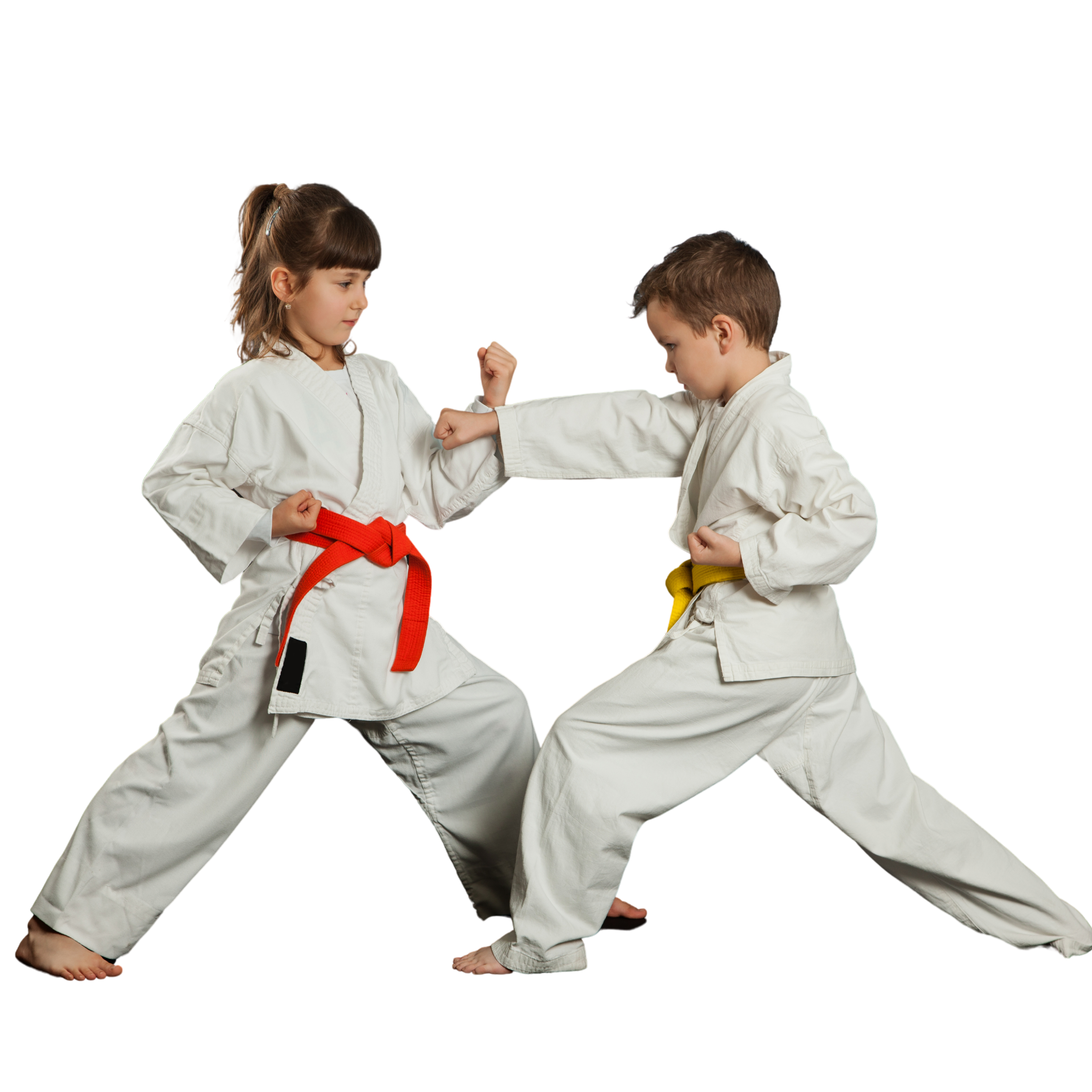 Pós em LUTAS KIDS Metodologia e Pedagogia Aplicada