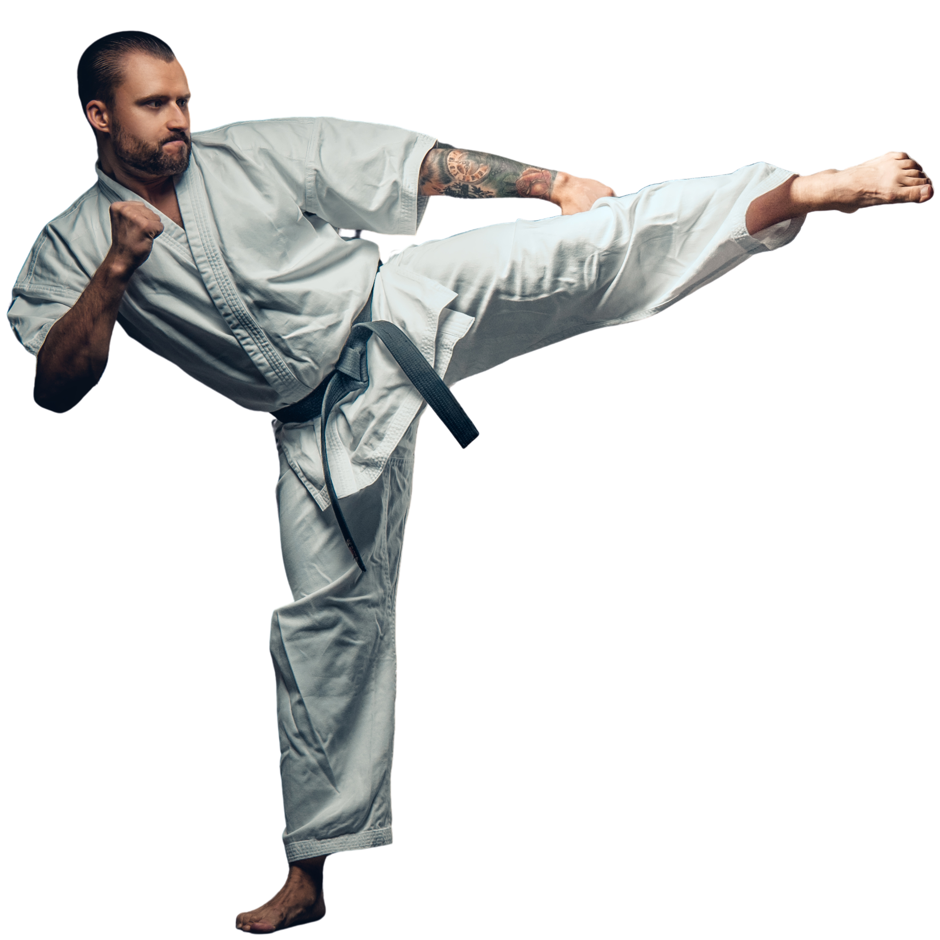 Pós em KARATÊ Aspectos Metodológicos, Teoria e Prática