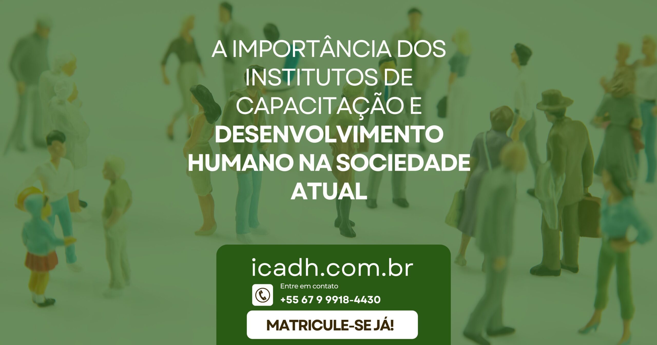 A Importância dos Institutos de Capacitação e Desenvolvimento Humano na Sociedade Atual