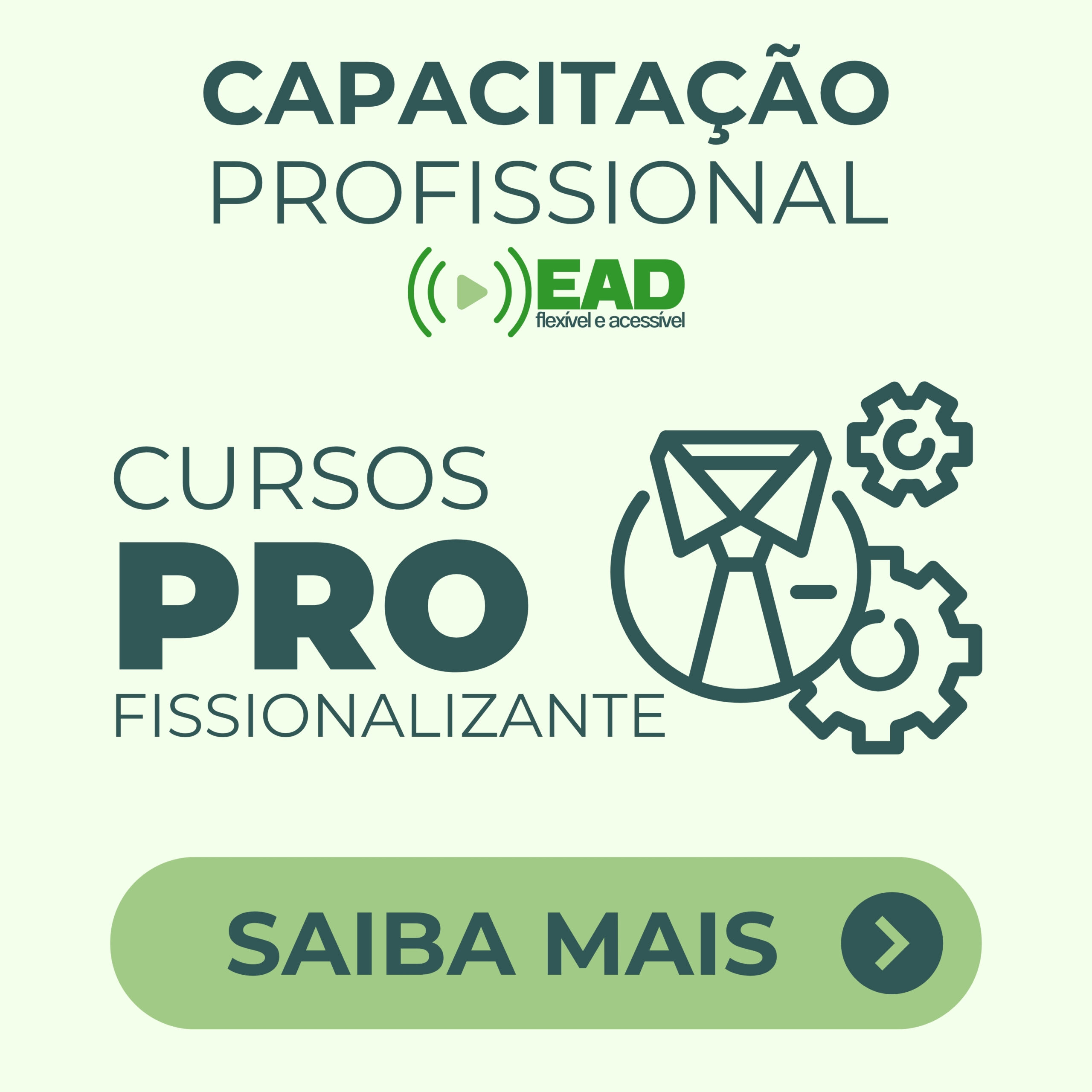 Cursos Profissionalizantes