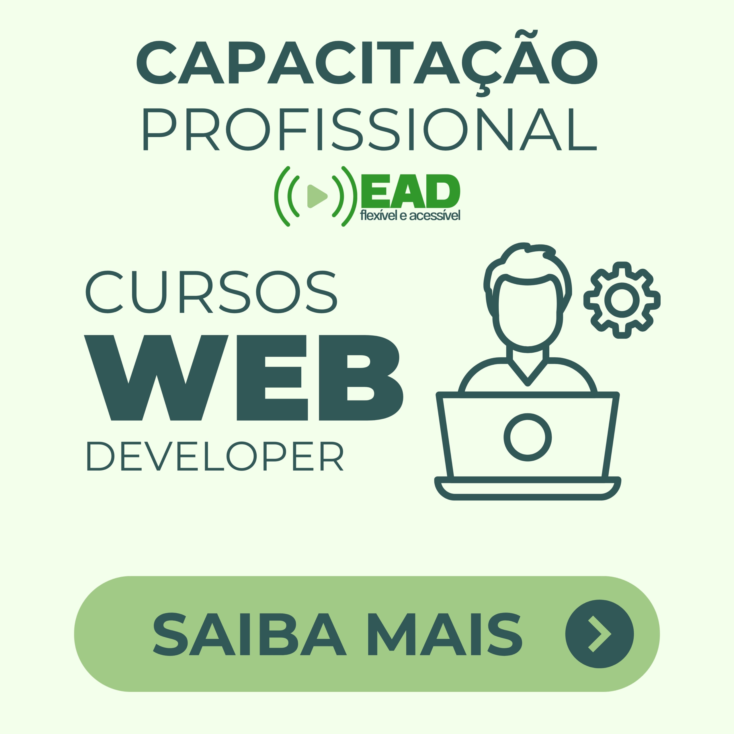 Cursos Web Developer